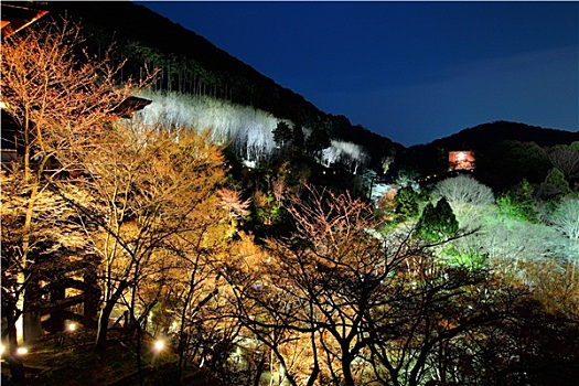 日本寺庙,夜晚