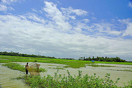 风景,孟加拉,八月,2006年