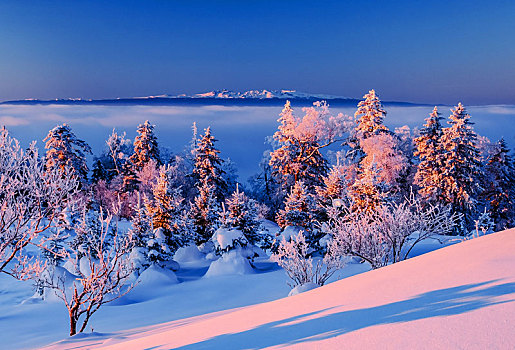 和龙老里克湖冬季,林海雪原