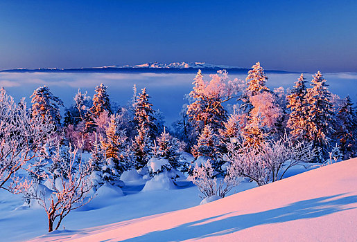 林海雪原图案图片