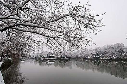 合肥包公园雪景