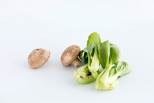 小青菜和蘑菇,白色背景