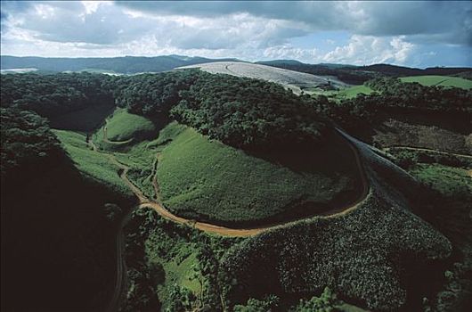 河,过去,树林,保存,大,糖,英亩,防护,南,巴西