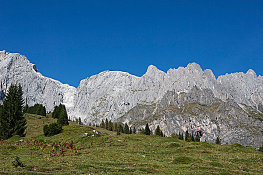 阿尔卑斯山,远足,区域,萨尔茨堡州,奥地利,欧洲