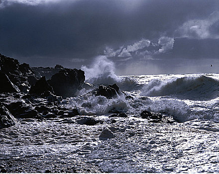 风暴,海洋,布雷顿角岛,新斯科舍省,加拿大