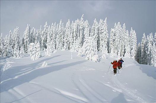 冬季风景,山,国家公园,施蒂里亚,奥地利