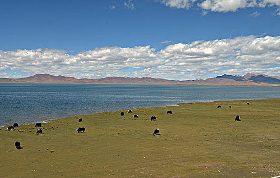 西藏第一高海拔措那湖