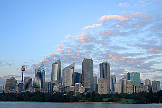 天际线,悉尼,早,早晨,新南威尔士,澳大利亚