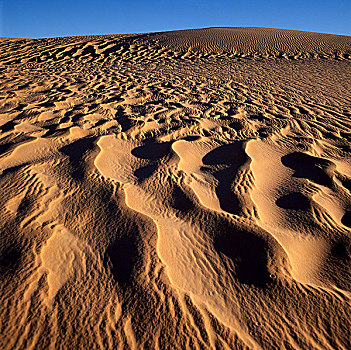 尼日尔,撒哈拉沙漠,沙,荒漠沙丘