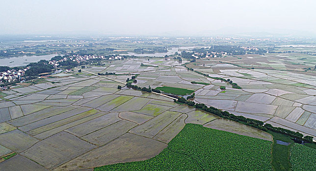 美好乡村,绿色家园