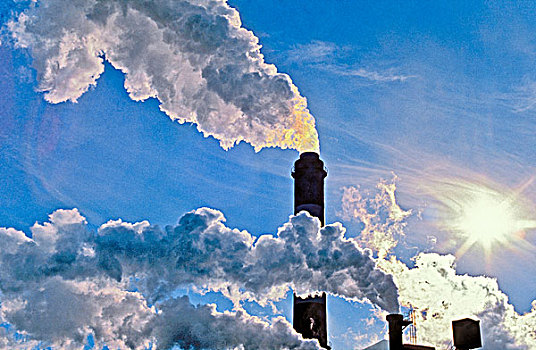 烟囱,排放,纸浆厂,加拿大