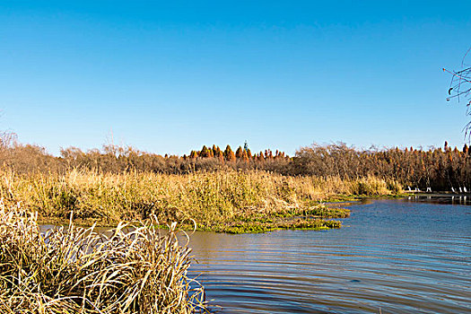 冬天的昆明捞鱼河湿地公园
