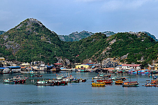 港口,下龙湾,越南,东南亚