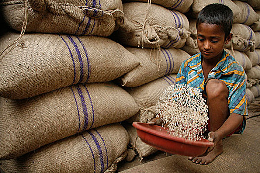 男孩,残余物,稻米,批发,市场,必需品,穷,螺旋,价格,达卡,孟加拉,四月,2008年