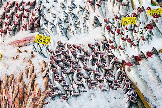 鱼,市场,伊斯坦布尔