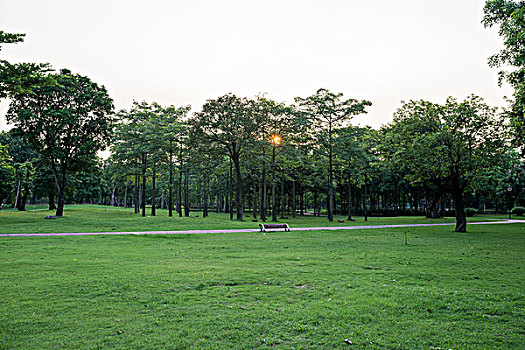 公园