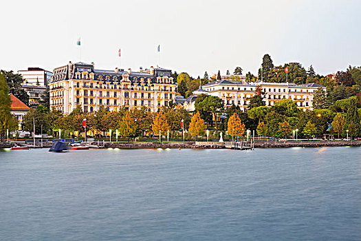 酒店,爱人,宫殿,洛桑,瑞士