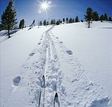越野滑雪,冬天,黄石国家公园