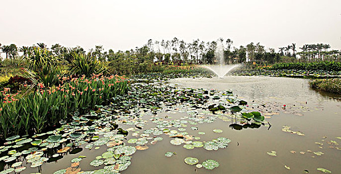 海珠湖