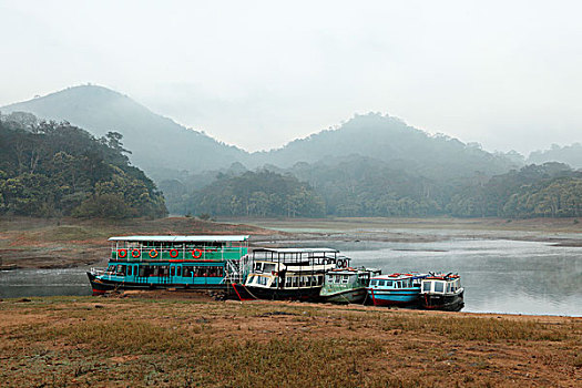 地点,湖,晨雾,佩里亚国家公园,喀拉拉,印度,南亚,亚洲