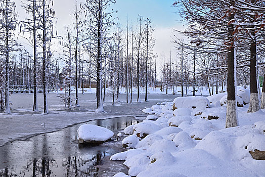 雪景