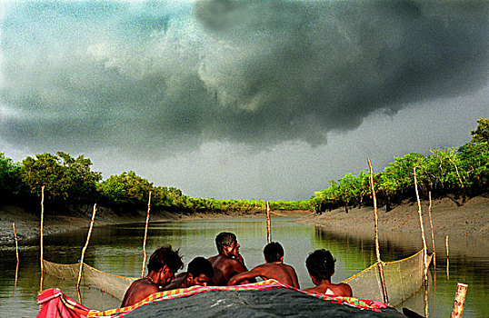 渔民,河,孙德尔本斯地区,红树林,树林,湾,孟加拉,世界遗产,西孟加拉,印度,十月,2005年
