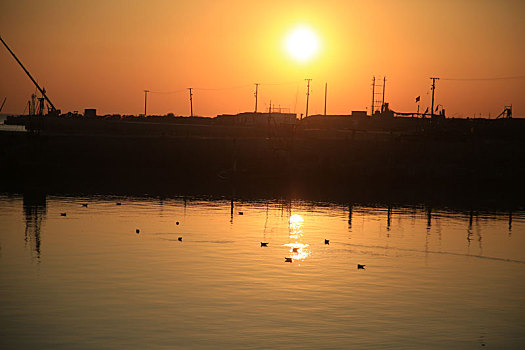 山东省日照市,晨曦里的渔港静谧自然,海鸥迎着朝阳起舞