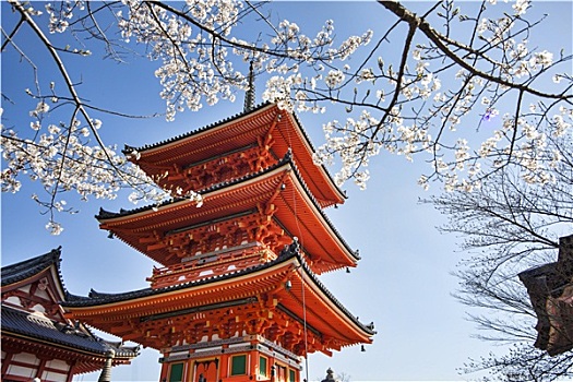 清水寺,庙宇,京都