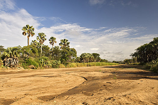 干燥,河,山谷,国家公园,乌干达