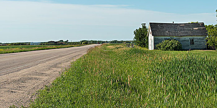道路,通过,草原,地点,东方,曼尼托巴,加拿大