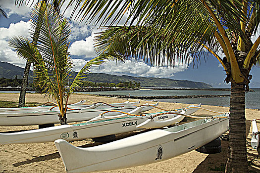 夏威夷,瓦胡岛,排,舷外支架,独木舟,海滩