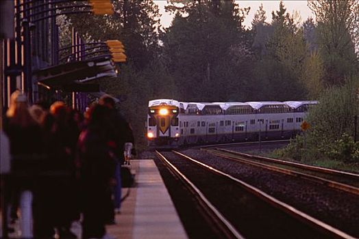 西海岸,高速列车,山谷,不列颠哥伦比亚省,加拿大