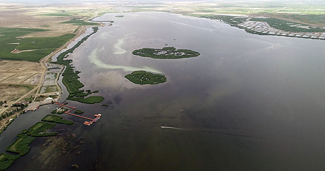 黄河河迹湖,乌梁素海,10～20年内或将消失