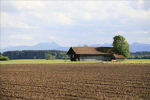 农业,风景,阿尔卑斯山,巴伐利亚,德国