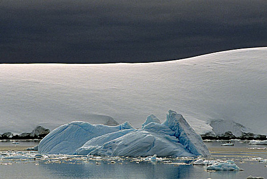 南极半岛,区域,冰山,正面,冰河