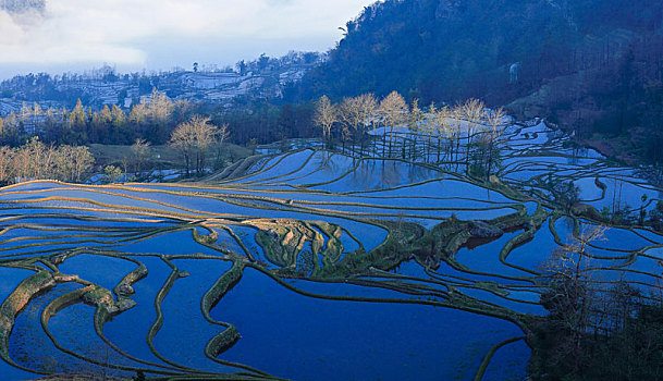 元阳梯田