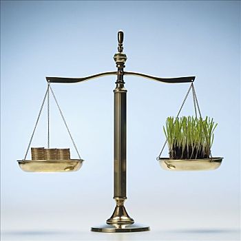硬幣,草,天平