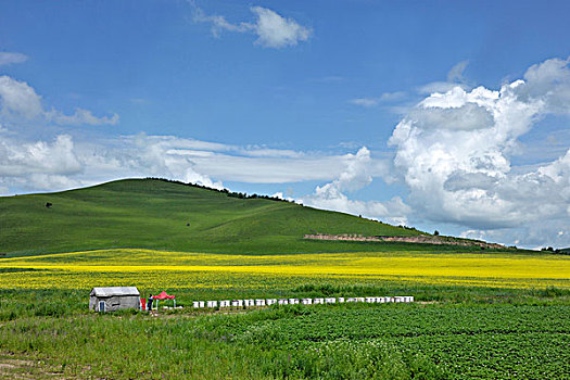 内蒙古科尔沁右翼前旗草原上的养蜂人家
