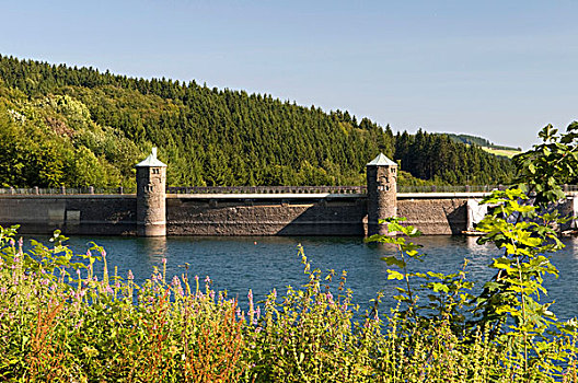 坝,墙壁,水库,自然,公园,藻厄兰,北莱茵威斯特伐利亚,德国,欧洲
