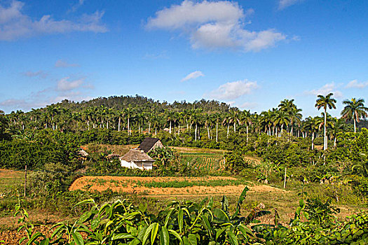 风景