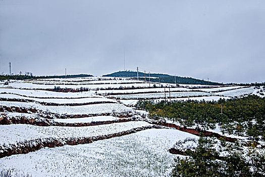 云南东川红土地雪原