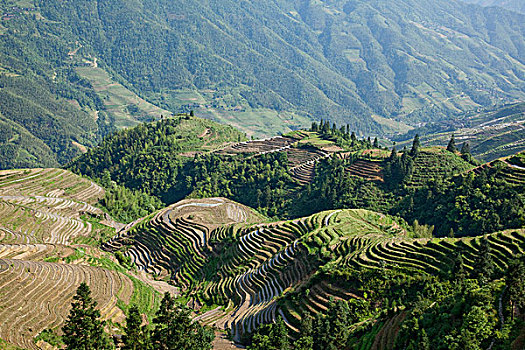 龙胜,稻米梯田,桂林,广西,中国