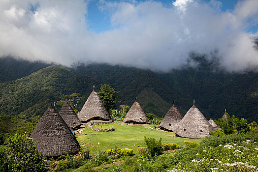 传统,圆,房子,山景,乡村,东方,印度尼西亚,亚洲