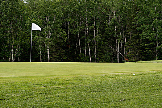 高尔夫旗,高尔夫球场,赫克拉火山磨石省立公园,曼尼托巴,加拿大