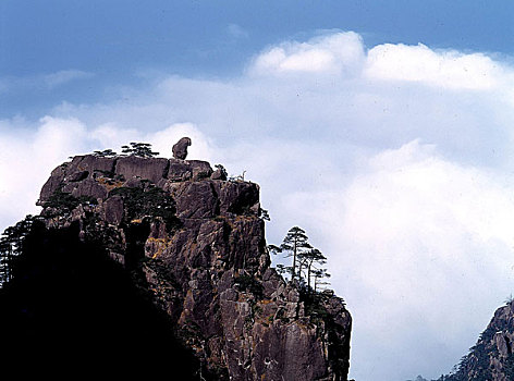 场景,云,海洋