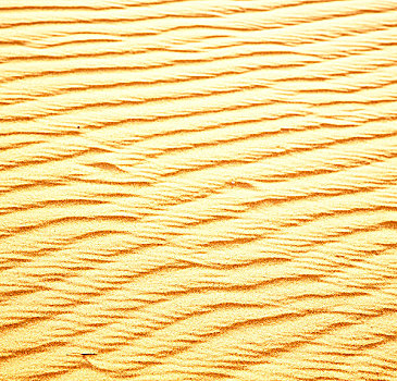 褐色,沙丘,撒哈拉沙漠,摩洛哥,沙漠