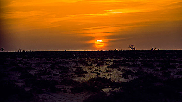 撒哈拉沙漠落日
