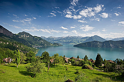 琉森湖,靠近,瑞士,欧洲