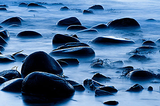 石头,海岸,罗弗敦群岛,挪威,欧洲