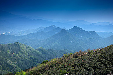 河港图片